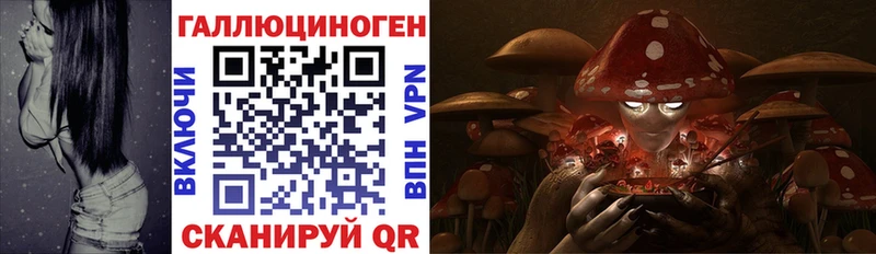 Галлюциногенные грибы GOLDEN TEACHER  Купить где  Ухта 