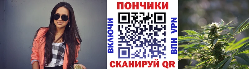 Бошки Шишки индика  Купить  Ухта 